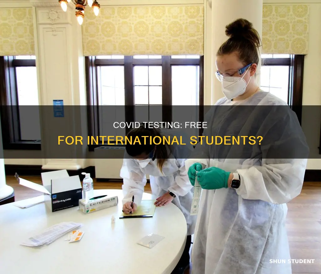 is covid test free for international students