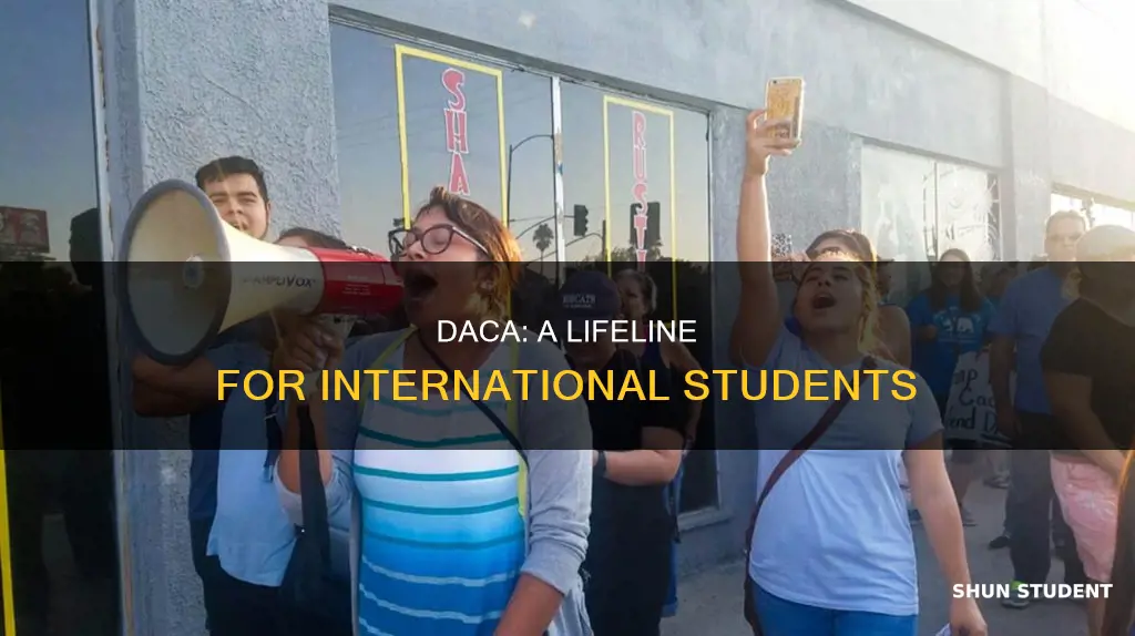 is daca international students