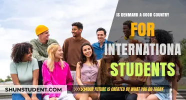 Denmark: A Haven for International Students?