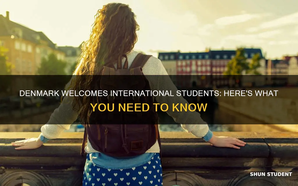 is denmark open for international students