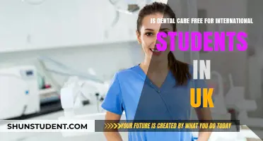 Dental Care for International Students in the UK: What's Free?