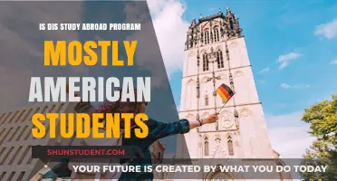 Diverse Perspectives: Debunking Myths About Study Abroad Demographics