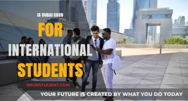 Dubai: A Haven for International Students?
