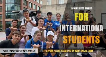 Duke's Need-Aware Policy: International Students' Perspective
