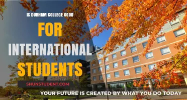 Durham College: A Smart Choice for International Students?