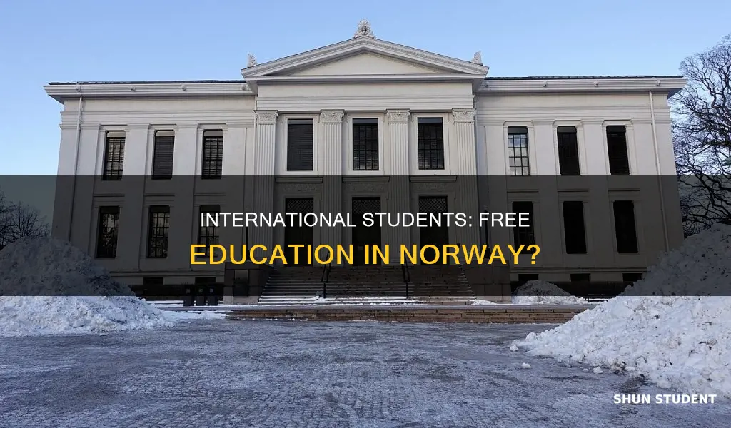 is education free for international students in norway