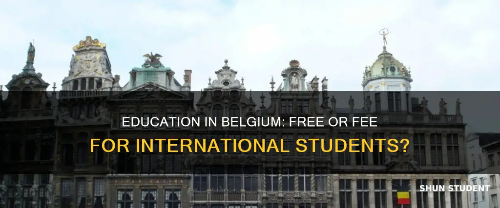is education free in belgium for international students