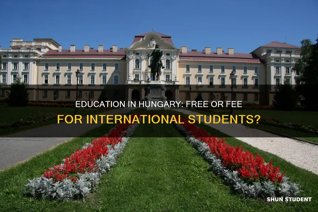 is education free in hungary for international students