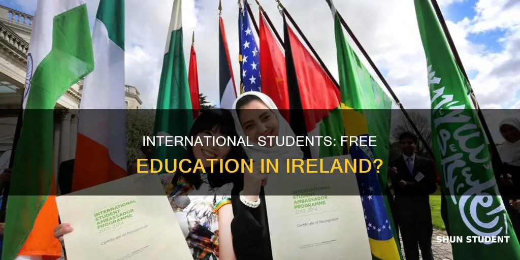 is education free in ireland for international students