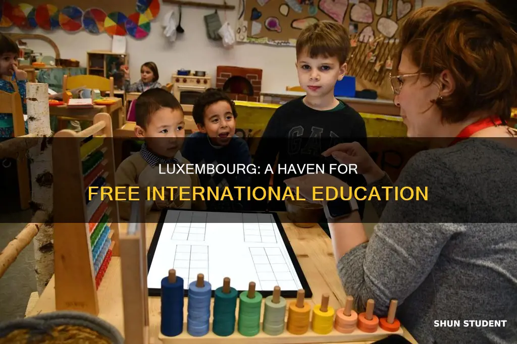 is education free in luxembourg for international students