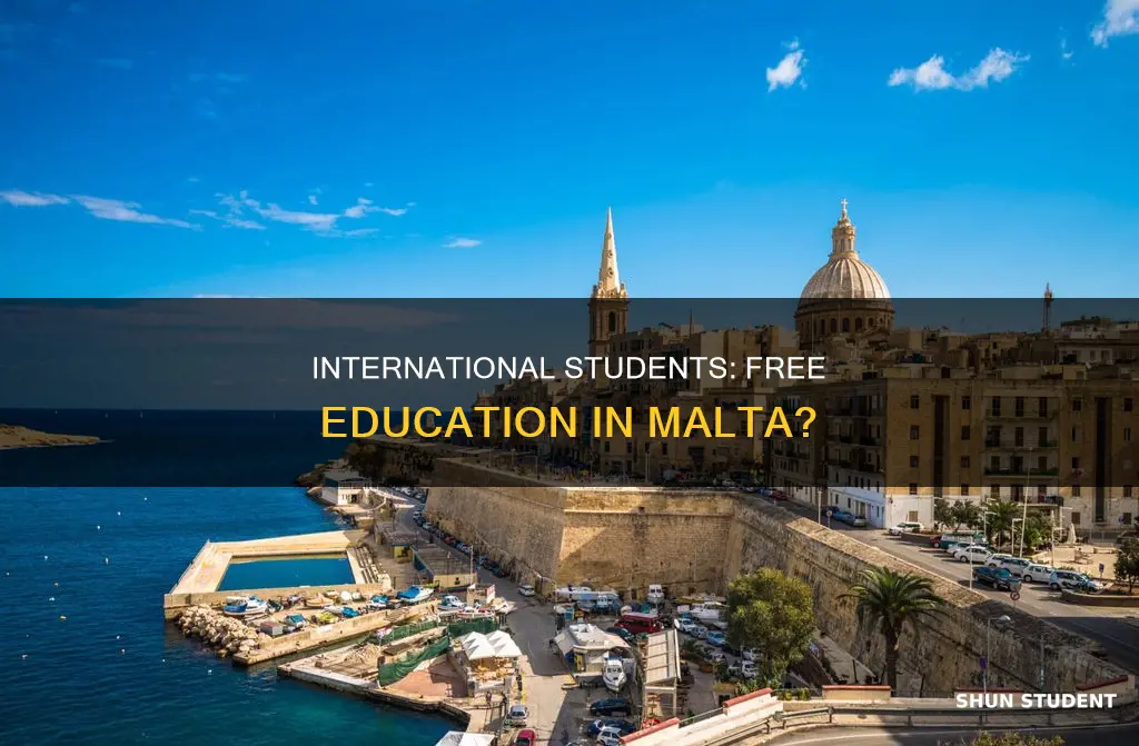 is education free in malta for international students