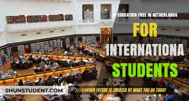 Education in the Netherlands: Free for International Students?