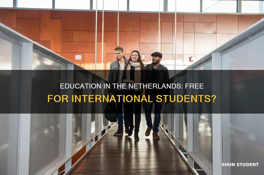 is education free in netherlands for international students