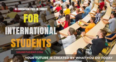 Education in Turkey: Free or Fee for Foreign Students?