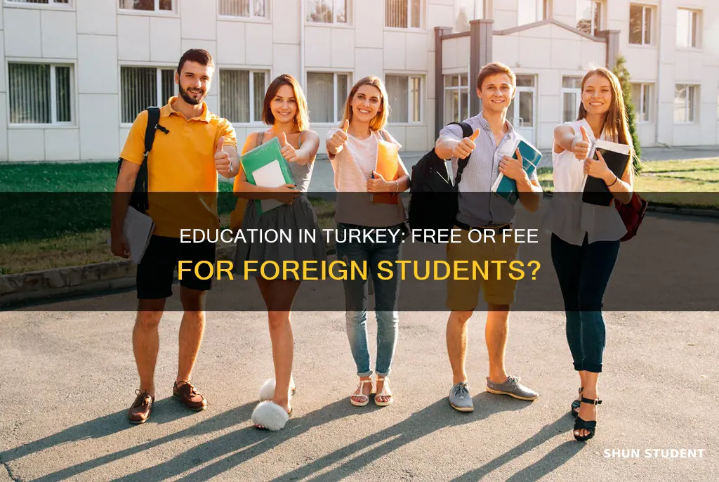 is education free in turkey for international students