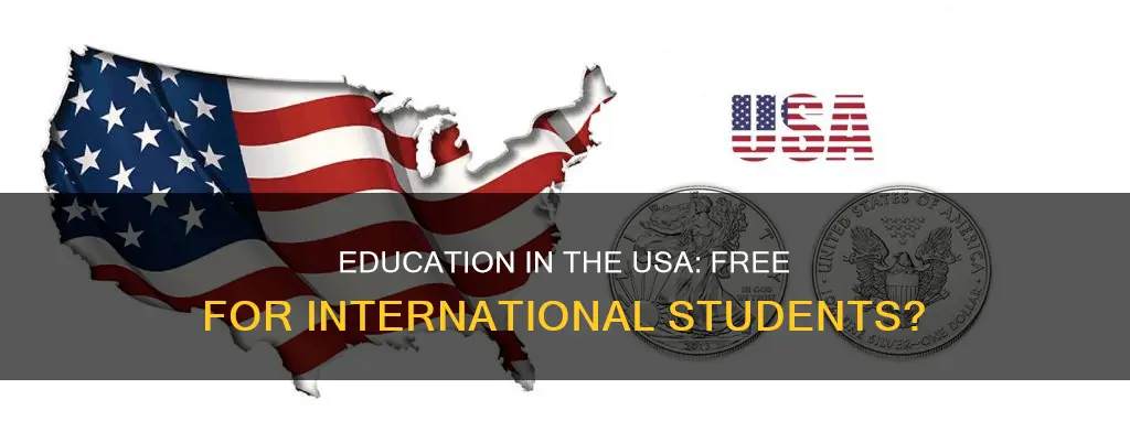 is education free in usa for international students