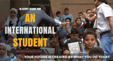 Exploring Egypt: A Student's Safety Guide