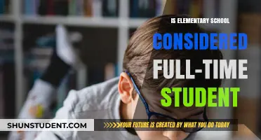 Exploring Elementary School: Full-Time Student Status and Beyond