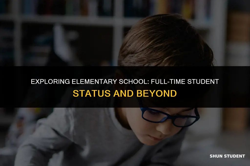 is elementary school considered full-time student