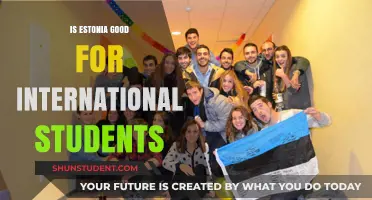 Estonia: An Attractive Study Destination for International Students