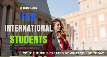 International Students: Europe's Benefits and Drawbacks