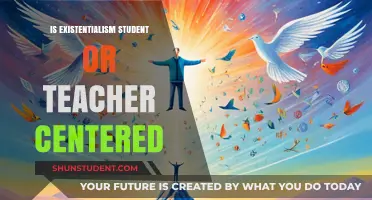 Existentialism in Education: Balancing Student Autonomy and Teacher Guidance