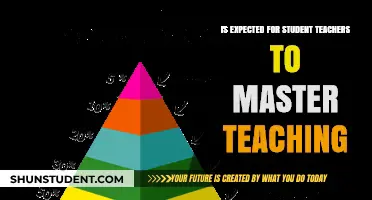 Mastering Teaching: Essential Skills Student Teachers Must Acquire for Success