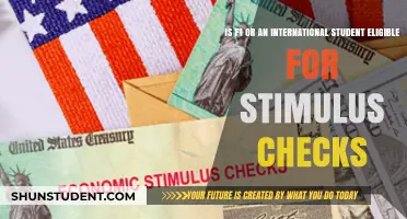 F1 Visa Holders: Are Stimulus Checks Possible?