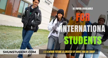 FAFSA for International Students: What You Need to Know