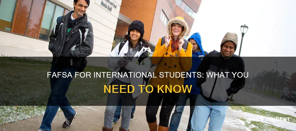 is fafsa available for international students