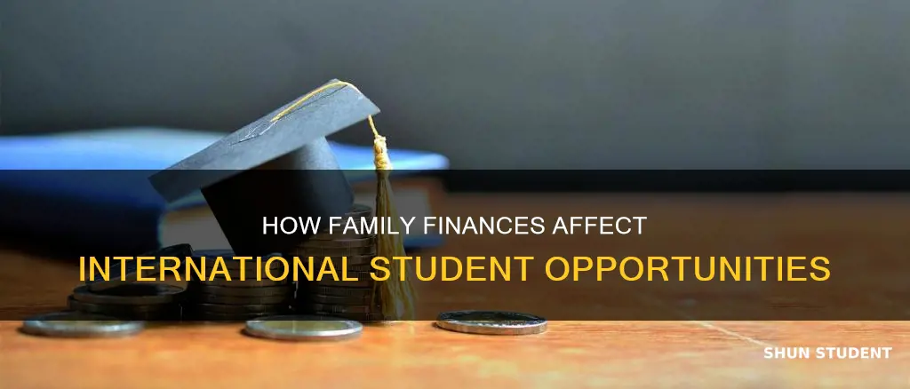 is family finicial profile for internation students
