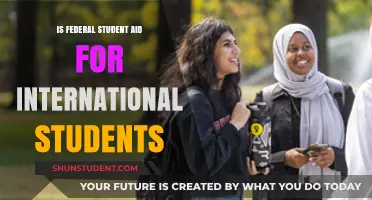 Federal Student Aid: Options for International Students
