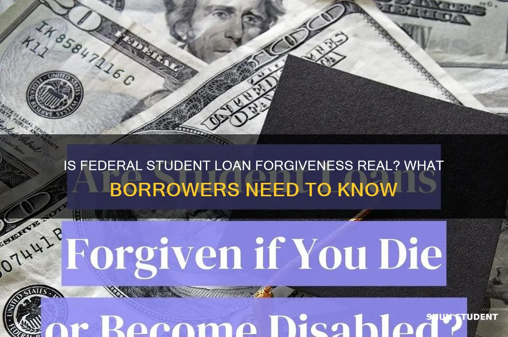 is federal student loans forgiven