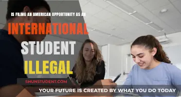 Understanding Tax Laws: International Students and the American Opportunity