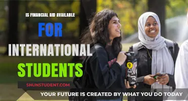 Financial Aid: International Students' Options Explored