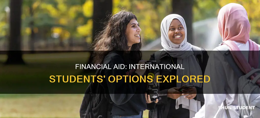 is financial aid available for international students