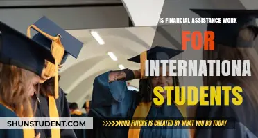 Financial Aid: A Lifeline for International Students?