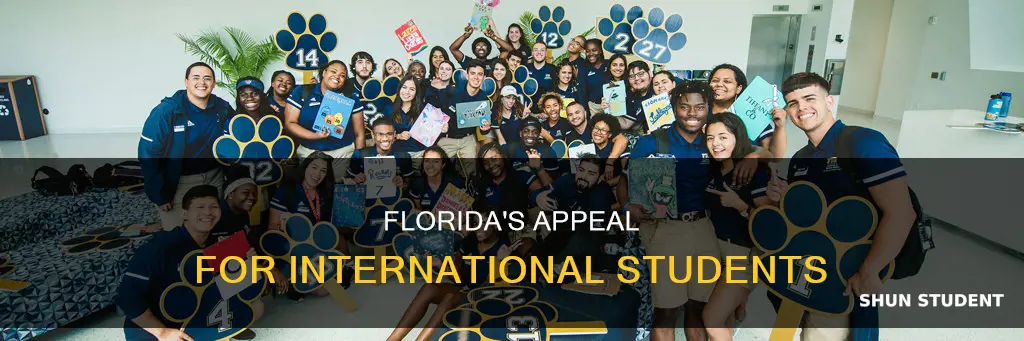 is florida good for international students