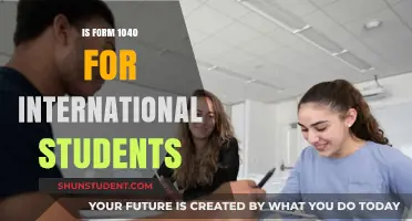 International Students: Understanding Your 1040 Tax Form