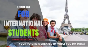 France: A Dream Destination for International Students?