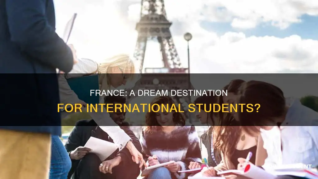is france good for international students