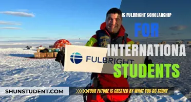 Fulbright Scholarship: International Students' Dream Ticket?