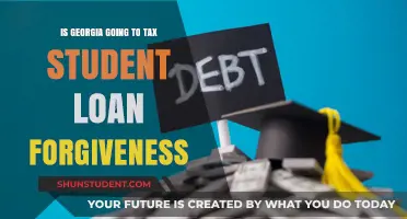 Georgia's Tax Stance on Student Loan Forgiveness: What Borrowers Need to Know