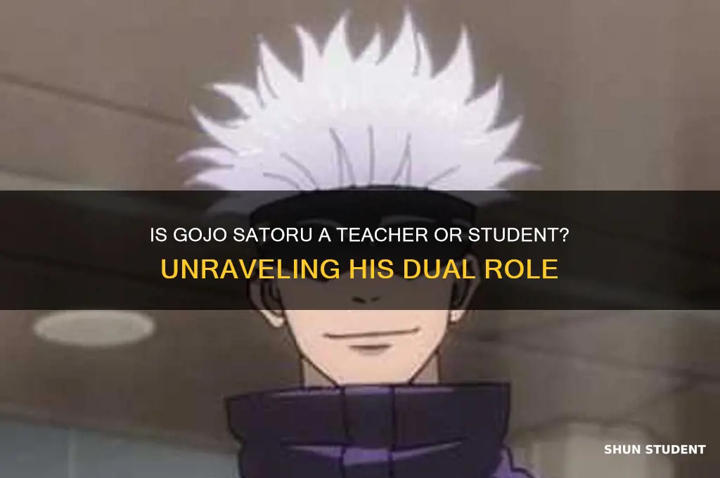 is gojo a teacher or student