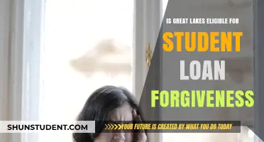 Great Lakes Student Loan Forgiveness: Eligibility and Application Guide
