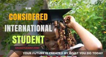 H4 Visa Holders: International Students or Not?