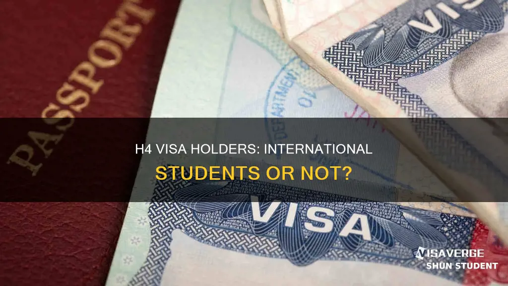 is h4 considered international student
