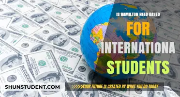 Hamilton's International Student Aid: Need-Based or Merit?
