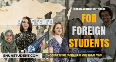 Hanyang University: A Haven for Foreign Students?