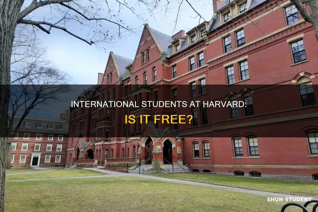 is harvard free for international students